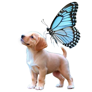 Puppy And Butterfly Png 05062024 PNG image