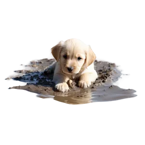 Puppy In Mud Png 05062024 PNG image