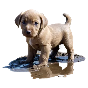 Puppy In Mud PNG Vkt64