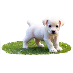 Puppy In Park Png 51 PNG image