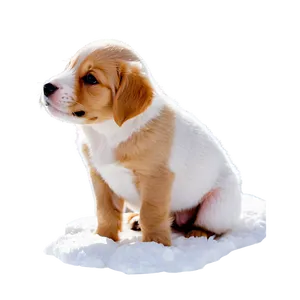 Puppy In Snow PNG Amb33 PNG