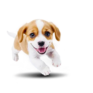 Puppy Jumping PNG 19 PNG