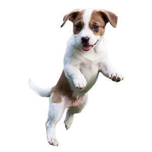 Puppy Jumping PNG Sld59 PNG