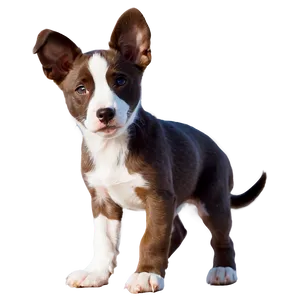 Puppy On Beach Png 05062024 PNG image