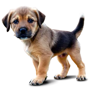 Puppy On Beach PNG Fuk PNG
