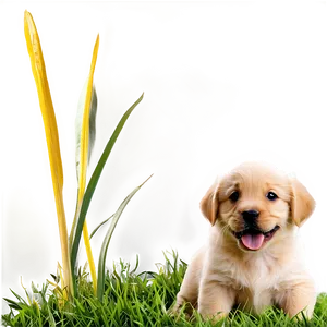 Puppy On Grass PNG 84