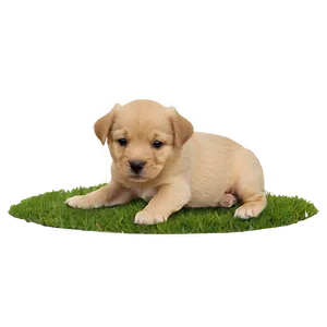 Puppy On Grass Png Ldb PNG image