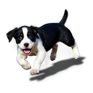 Puppy Running PNG 06132024 PNG
