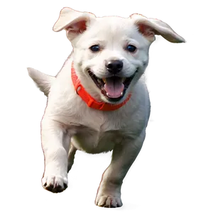 Puppy Running PNG Afv PNG