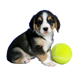 Puppy With Toy Png Yhu PNG image