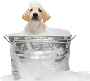 Puppyin Bubble Bath PNG image