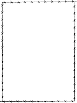Pure Black Canvas