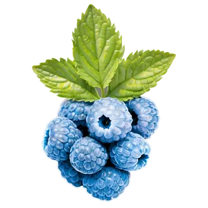 Pure Blue Raspberry PNG 12