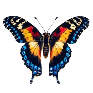 Pure Butterfly Image PNG 06262024