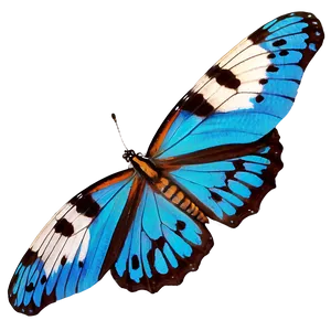 Pure Butterfly Image Png 06262024 PNG image