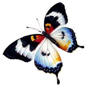 Pure Butterfly Image PNG Xpp PNG
