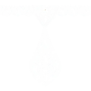 Pure Silk Lace Texture PNG 49