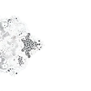 Pure Silk Lace Texture PNG Cyj12 PNG