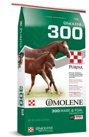 Purina Molene300 Mareand Foal Horse Feed Bag PNG image