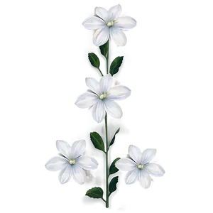 "purity Petals: White Flower PNG" A