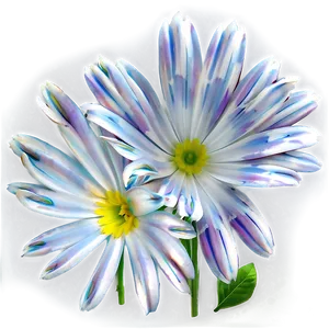 "purity Petals: White Flower PNG" B