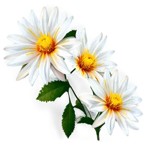 "purity Petals: White Flower PNG" D