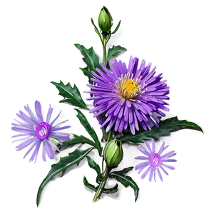 Purple Aster PNG Drf1