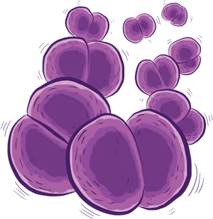 Purple Bacteria Cluster Illustration