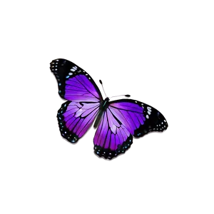 Purple Butterflies PNG Nbd PNG