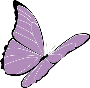 Purple Butterfly Illustration.png PNG image