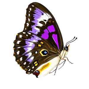 Purple Butterfly In Nature Png Fhx43 PNG image