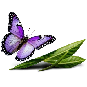 Purple Butterfly In Nature Png Gfi7 PNG image