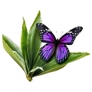 Purple Butterfly In Nature Png Trp PNG image