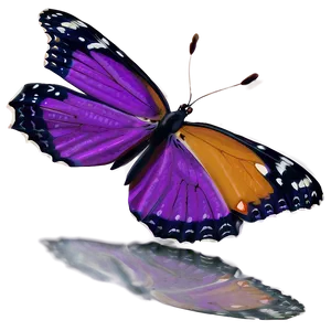 Purple Butterfly Mirage Png Yfp44 PNG image