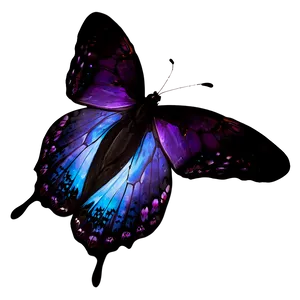 Purple Butterfly On White Png 59 PNG image