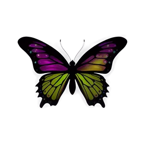 Purple Butterfly Outline Png 80 PNG image