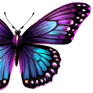 Purple Butterfly Outline Png Tma85 PNG image