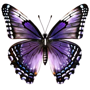 Purple Butterfly PNG Afv76