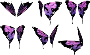 Purple Butterfly Wings Collection PNG