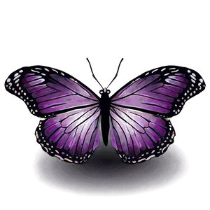 Purple Butterfly Wings Png 16 PNG image
