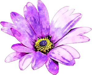 Purple Daisy Artistic Floral Display.jpg PNG image