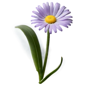 Purple Daisy PNG 85