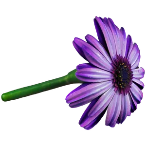 Purple Daisy PNG Pgv