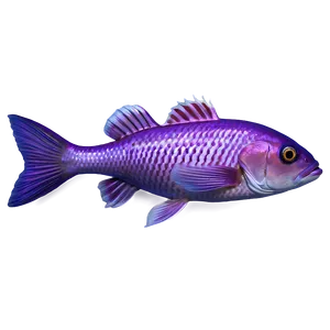 Purple Fish Png Vqx92 PNG image