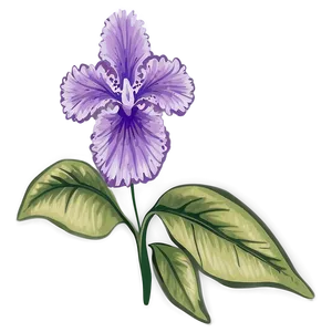Purple Floral PNG 05242024