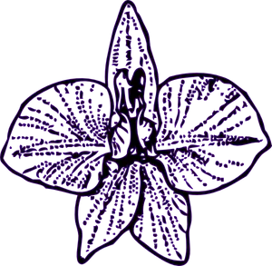 Purple Flower Line Art Outline.png PNG
