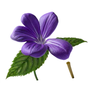 Purple Flower PNG 05242024