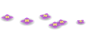 Purple Flowers Black Background