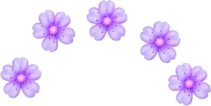 Purple_ Flowers_ Transparent_ Background