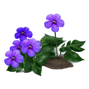 Purple Garden Flower PNG Ubx57